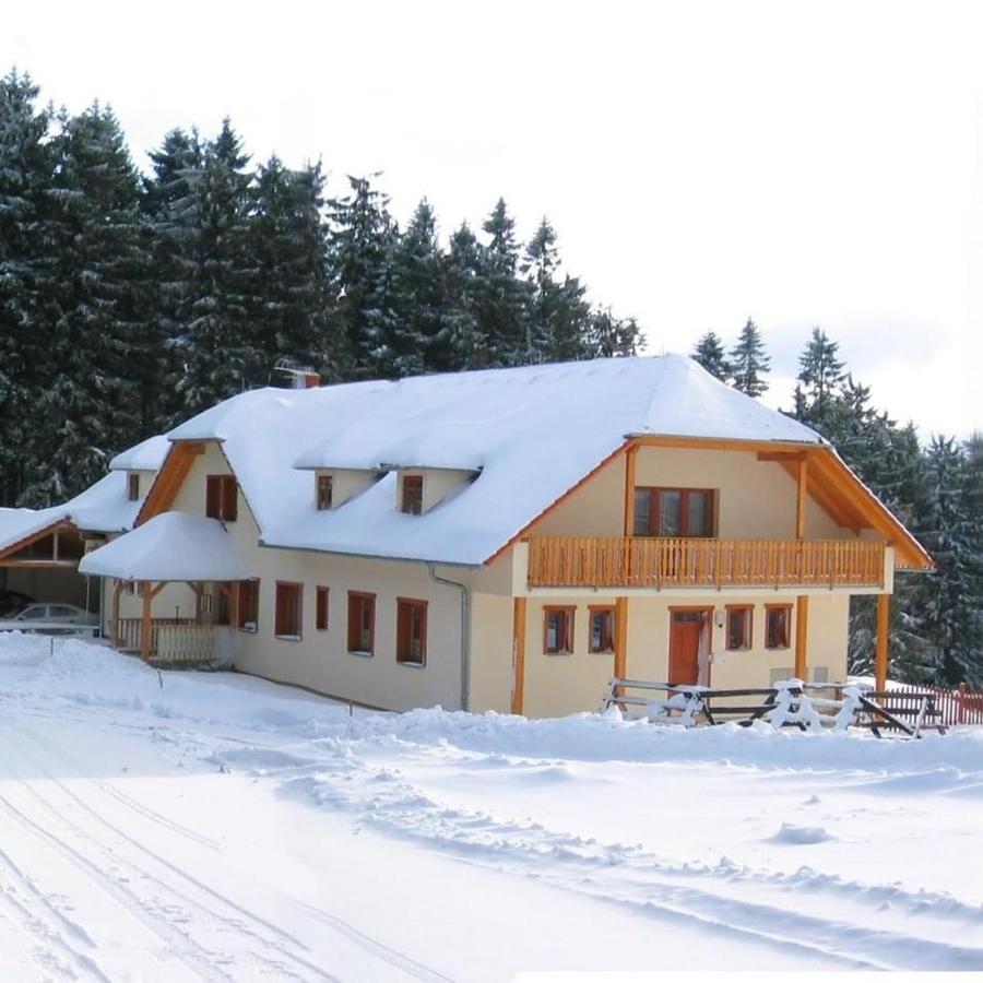 Penzion Patrik Mikulcin Vrch Vapenice Exterior photo
